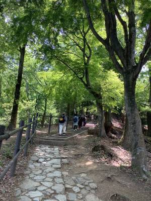 【連載】京都のちょっといいこと　大文字山[PR]