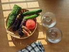 あまった夏野菜を使い切り！うつわになる鉢で、暑い日もパリポリ簡単浅漬け[PR]