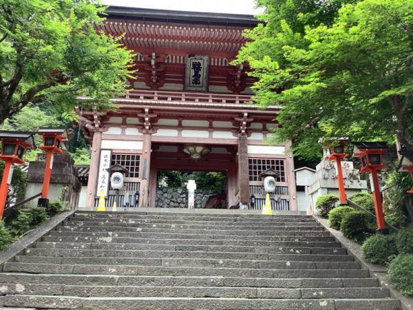 【連載】京都のちょっといいこと　京都の涼[PR]