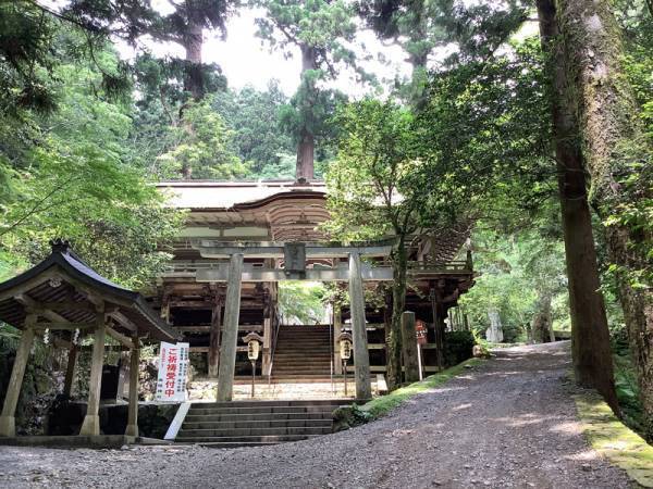 【連載】京都のちょっといいこと　京都の涼[PR]