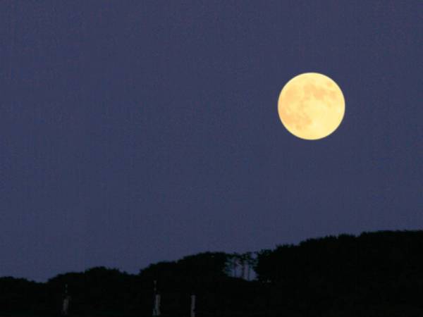 【ありきたりな日常を楽しむためのヒント】秋の夜長は自分をいたわる夜ふかしを[PR]