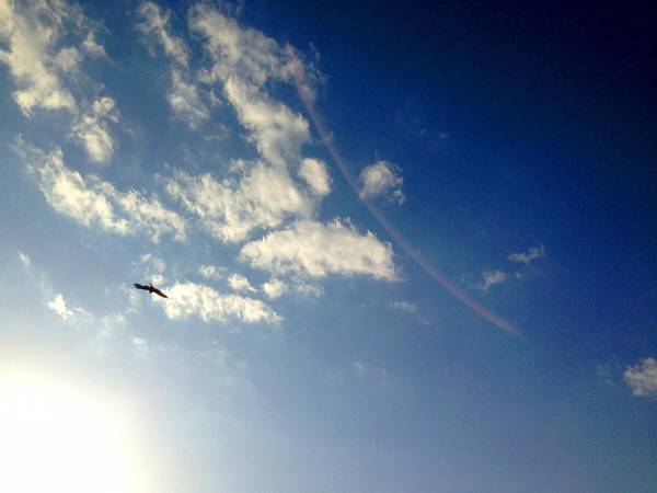 【ありきたりな日常を楽しむためのヒント】「しない習慣」で暮らしに余白を[PR]