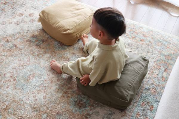 どれを選ぶ？定番から新作まで「クッションになる布団収納ケース」総まとめ[PR]