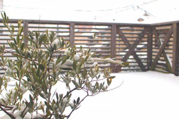 【ありきたりな日常を楽しむためのヒント】「正しい温活習慣」で寒い冬を健やかに[PR]