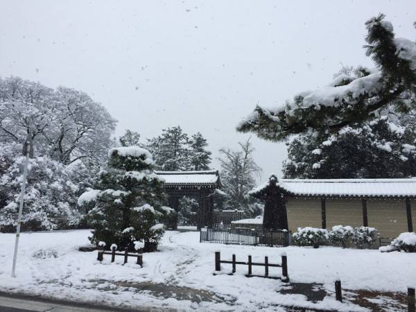 【連載】京都のちょっといいこと〜京の冬〜[PR]