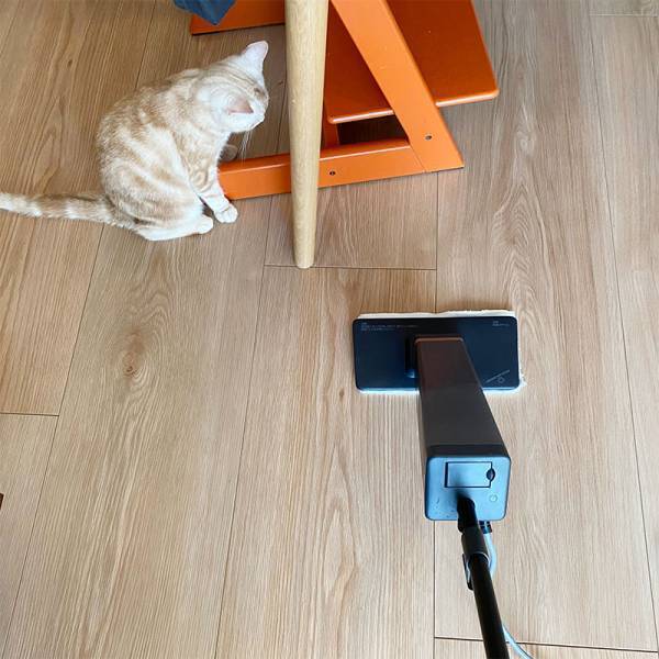 もっと快適に、猫との暮らし。スチームモップなら床サラサラでハウスダスト、アレルギー対策にも。[PR]