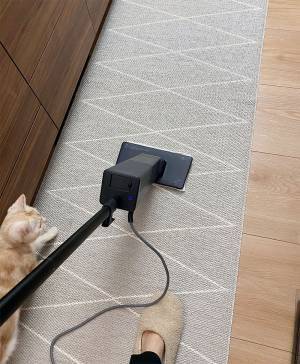 もっと快適に、猫との暮らし。スチームモップなら床サラサラでハウスダスト、アレルギー対策にも。[PR]