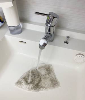 もっと快適に、猫との暮らし。スチームモップなら床サラサラでハウスダスト、アレルギー対策にも。[PR]