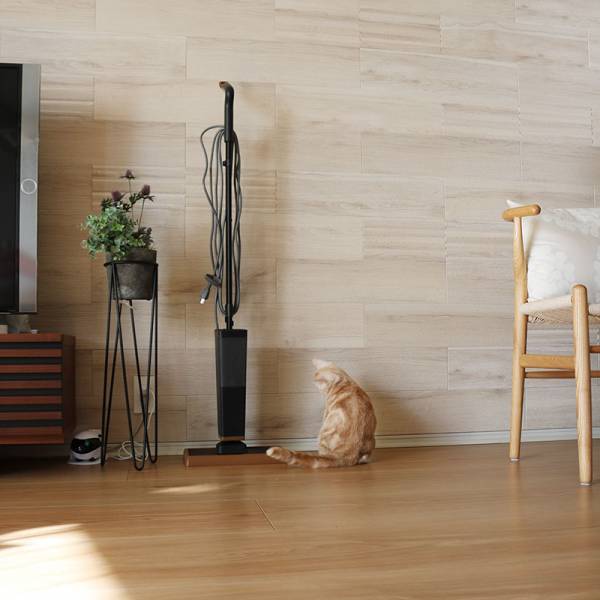 もっと快適に、猫との暮らし。スチームモップなら床サラサラでハウスダスト、アレルギー対策にも。[PR]