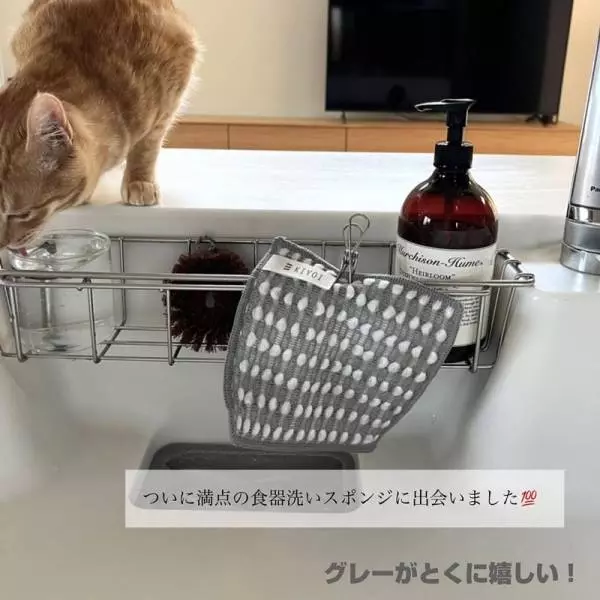 【インスタグラマーさんが選んだ】一度使ったら手放せない、キッチンの隠れ名品