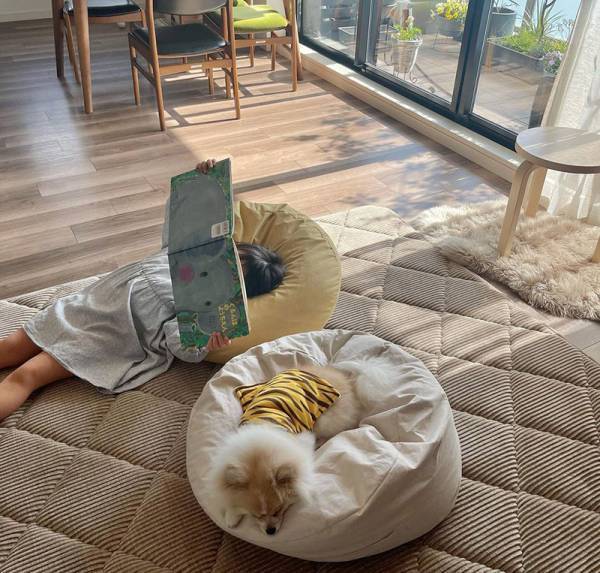 キッズやペットも虜に！リビングに置けば自然とみんなが集まってくる「クッションになる布団収納ケース」[PR]
