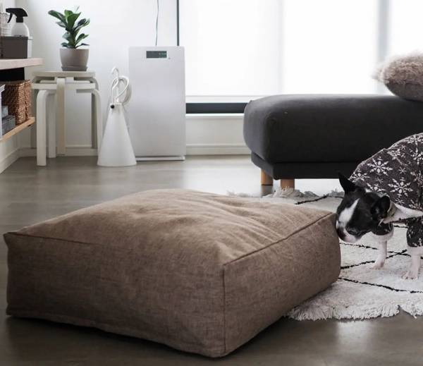 キッズやペットも虜に！リビングに置けば自然とみんなが集まってくる「クッションになる布団収納ケース」[PR]