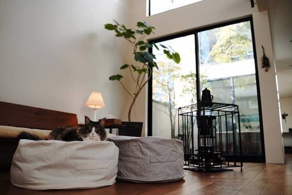 キッズやペットも虜に！リビングに置けば自然とみんなが集まってくる「クッションになる布団収納ケース」[PR]