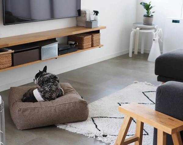 キッズやペットも虜に！リビングに置けば自然とみんなが集まってくる「クッションになる布団収納ケース」[PR]