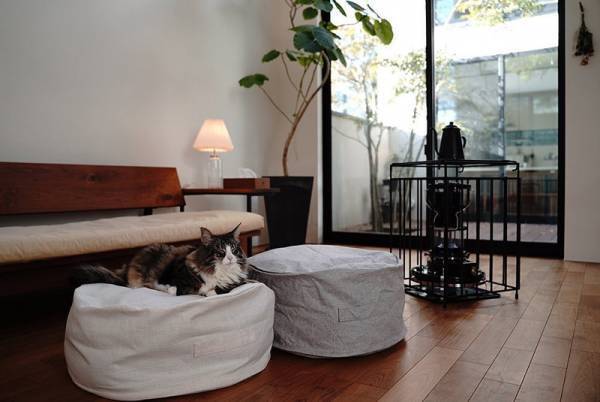 キッズやペットも虜に！リビングに置けば自然とみんなが集まってくる「クッションになる布団収納ケース」[PR]