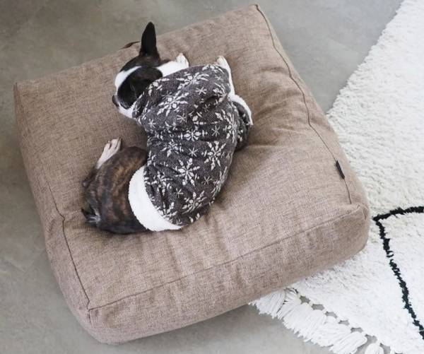 キッズやペットも虜に！リビングに置けば自然とみんなが集まってくる「クッションになる布団収納ケース」[PR]