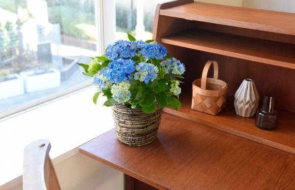 【母の日2022】届けたい、あふれる想い。ワンランク上の花ギフト「Kiitos（キートス）」[PR]