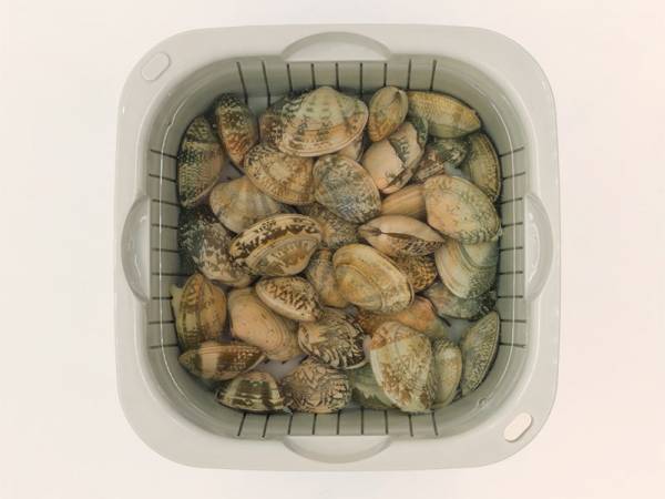 家事ストレスを軽くする、便利アイテム特集！[PR]