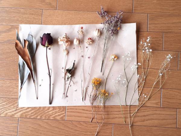 自分らしく楽しむ、花のある暮らし。フラワーベース別「ドライフラワー」の飾り方[PR]