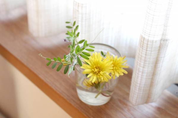 【ありきたりな日常を楽しむためのヒント】不安なときこそ、暮らしを優しく丁寧に[PR]