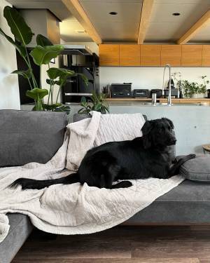 インスタグラマーさんもご愛用！  今年も話題の「bon moment×シンプルホーム」コラボのマルチカバー【インスタグラマーさん使用レポ】[PR]