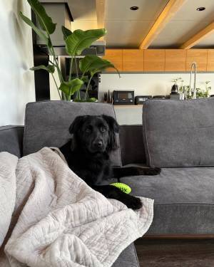 インスタグラマーさんもご愛用！  今年も話題の「bon moment×シンプルホーム」コラボのマルチカバー【インスタグラマーさん使用レポ】[PR]