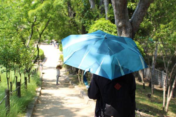 雨が待ち遠しくなる。アトリエ作品みたいな「はしもとなおこさんの折り畳み傘」[PR]