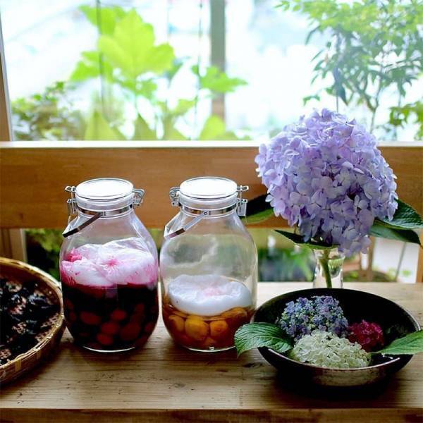 梅酒、梅シロップの季節到来、インスタグラマーさんも愛用者多数の「セラーメイト日本製ガラス瓶」[PR]