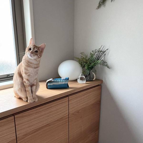 デザインだけじゃない！軽量＆コンパクトだから雨の日はもちろん、日差しの強い日にも持ち歩ける【インスタグラマーさんのものえらび】[PR]