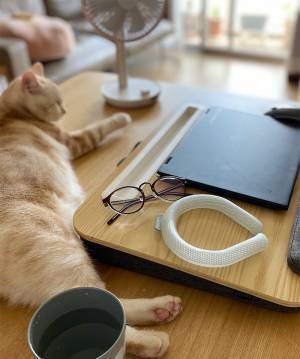 今年の猛暑にそなえるクールハック！話題の「アイスリング」のスタッフ活用レポ[PR]