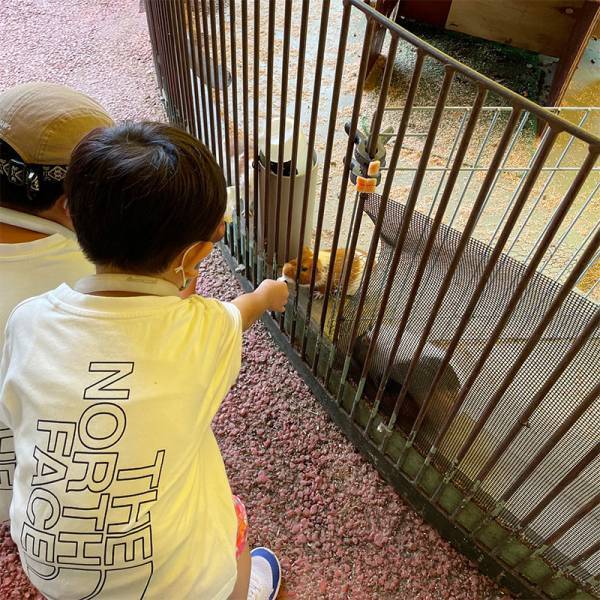 今年の猛暑にそなえるクールハック！話題の「アイスリング」のスタッフ活用レポ[PR]