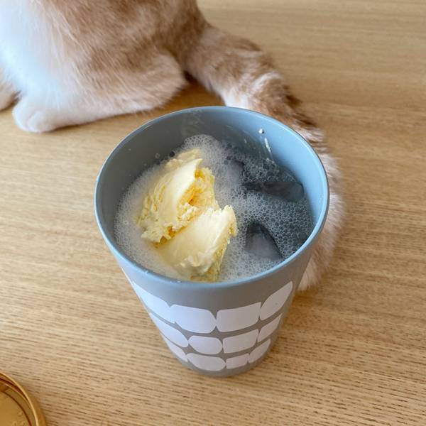 夏の便利アイテム「ステンレスタンブラー」「セラミックタンブラー」の違いは？タンブラー3種比較してみました[PR]