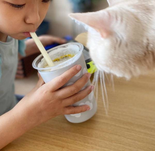 夏の便利アイテム「ステンレスタンブラー」「セラミックタンブラー」の違いは？タンブラー3種比較してみました[PR]