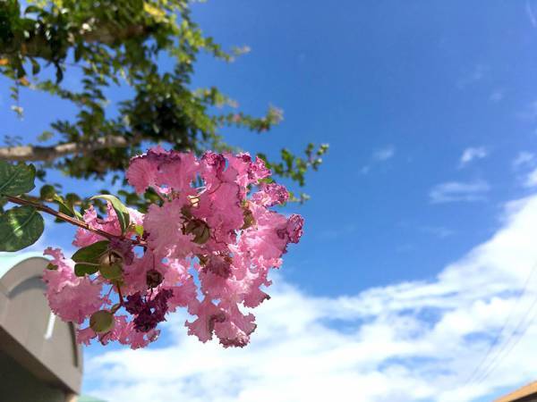 【ありきたりな日常を楽しむためのヒント】自分の機嫌、とれていますか？[PR]