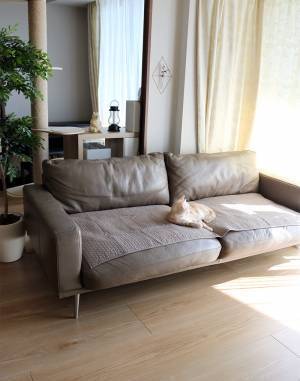 滑らない、なめらか肌触り、洗えて清潔！妥協なしに使える「bon momentソファパット」[PR]