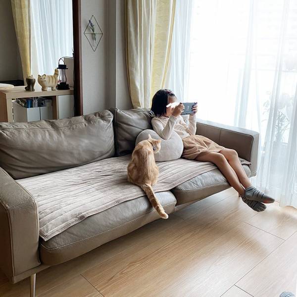 滑らない、なめらか肌触り、洗えて清潔！妥協なしに使える「bon momentソファパット」[PR]