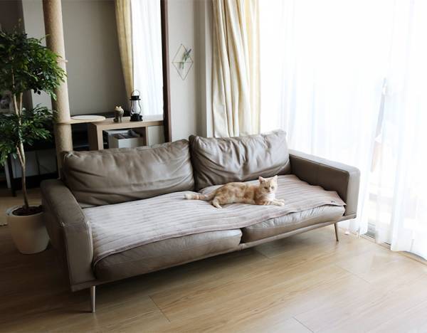 滑らない、なめらか肌触り、洗えて清潔！妥協なしに使える「bon momentソファパット」[PR]