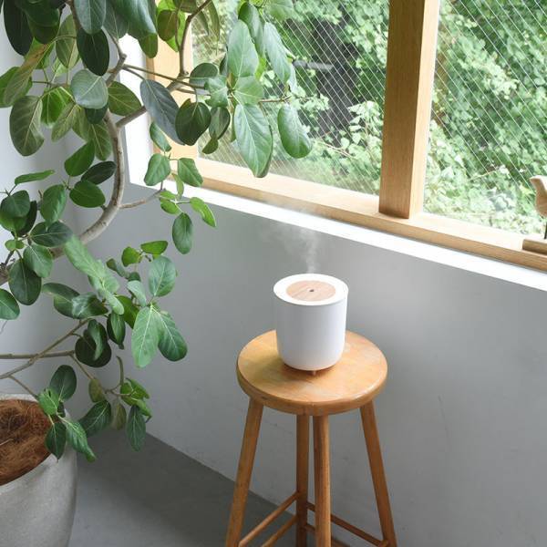 Wミスト、潤いスキンケア、北欧風。特長が2秒でわかる、トレンドの「パーソナル加湿器」5選[PR]