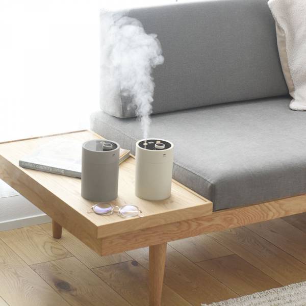 Wミスト、潤いスキンケア、北欧風。特長が2秒でわかる、トレンドの「パーソナル加湿器」5選[PR]