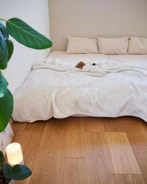 猫ちゃんもやみつき！新作も仲間入りした「伝説の毛布」インスタグラマーさんのもの選び[PR]