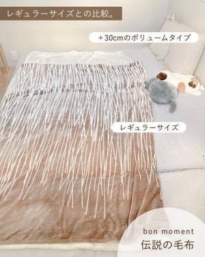 猫ちゃんもやみつき！新作も仲間入りした「伝説の毛布」インスタグラマーさんのもの選び[PR]