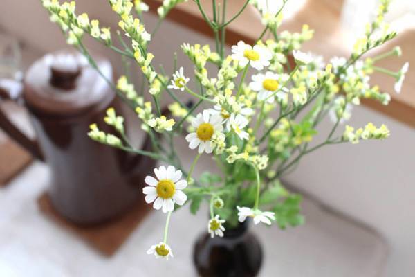 【ありきたりな日常を楽しむためのヒント】息抜きの時間、どうやって確保する？[PR]