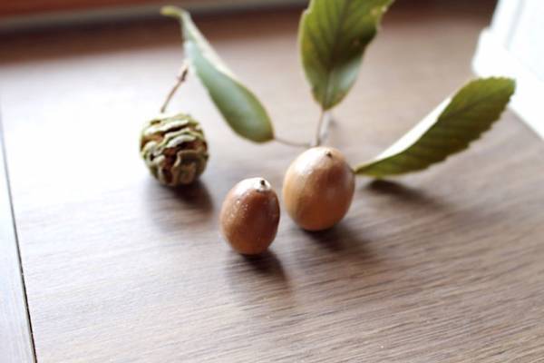 【ありきたりな日常を楽しむためのヒント】息抜きの時間、どうやって確保する？[PR]