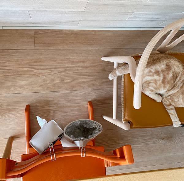 ゴミ箱は増やしたくないけど、気軽にゴミは捨てたい、「吊り下げられる ゴミ箱」でそんなプチストレスを解消！[PR]