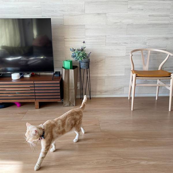 使い勝手はそのままに、まるごと目隠しが叶う「bon momentペーパーバッグ」スタッフの使い方[PR]