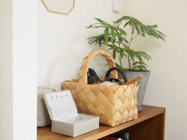 やっと見つけた！蓋を開けるたびにワクワクする、取り出しやすく収納しやすい「アクセサリーケース」[PR]