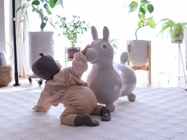 インテリアにこだわるなら、おもちゃの色にもこだわりたい。そんな願いを叶える限定カラーのロディ。【インスタグラマーさんのモノ選び】[PR]