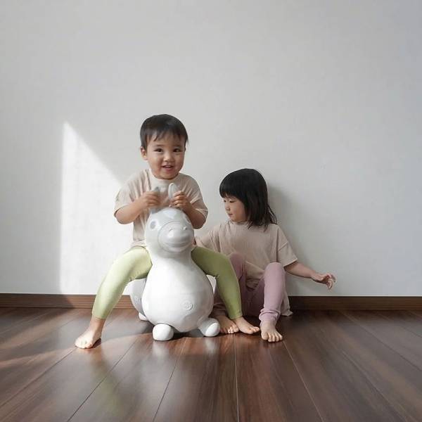 インテリアにこだわるなら、おもちゃの色にもこだわりたい。そんな願いを叶える限定カラーのロディ。【インスタグラマーさんのモノ選び】[PR]