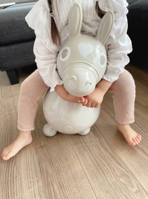 インテリアにこだわるなら、おもちゃの色にもこだわりたい。そんな願いを叶える限定カラーのロディ。【インスタグラマーさんのモノ選び】[PR]