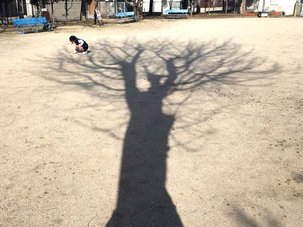 【ありきたりな日常を楽しむためのヒント】新年度、大人だって成長できる[PR]